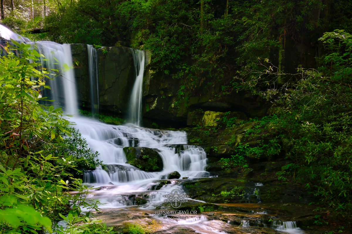 A small but graceful waterfall flowing through thick green underbrush. Photo by: Conrad Taylor Photography.